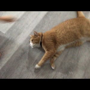 Meet your Posher, Aaron